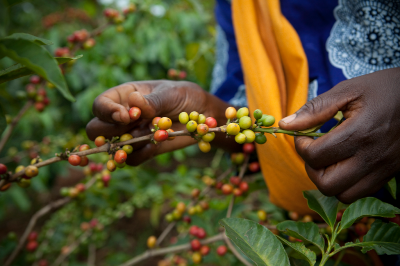 Sourcing with Impact